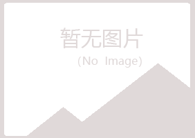 鹤岗兴山初夏服务有限公司